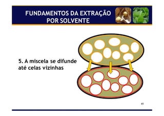 41
5. A miscela se difunde
até celas vizinhas
FUNDAMENTOS DA EXTRAÇÃO
POR SOLVENTE
 