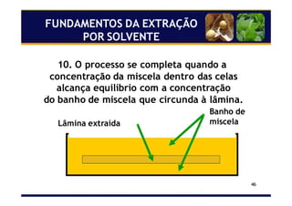 46
10. O processo se completa quando a
concentração da miscela dentro das celas
alcança equilíbrio com a concentração
do banho de miscela que circunda à lâmina.
Lâmina extraída
Banho de
miscela
FUNDAMENTOS DA EXTRAÇÃO
POR SOLVENTE
 