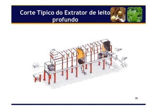 79
Corte Típico do Extrator de leito
profundo
 