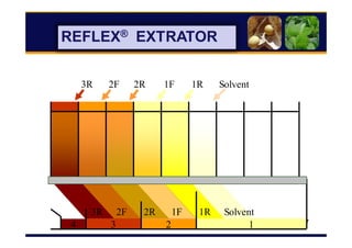 87
REFLEX® EXTRATOR
1234
Solvent1R1F2R2F3R
Solvent1R1F2R2F3R
 