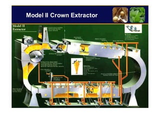 96
Model II Crown Extractor
 