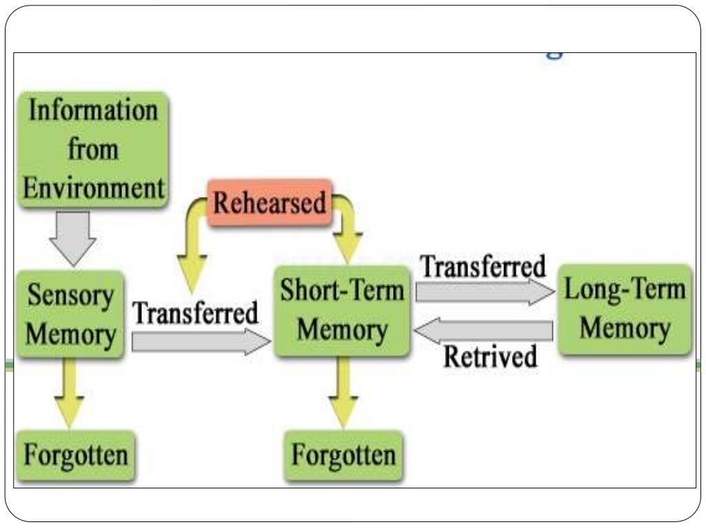 information processing model