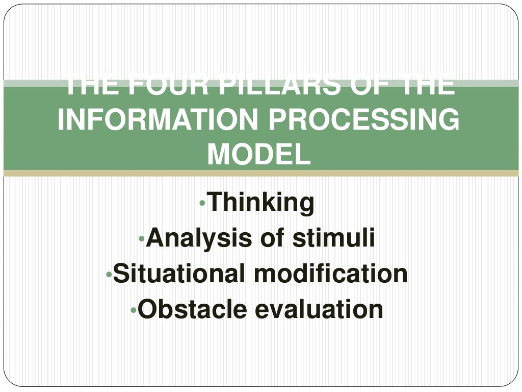 information processing theory