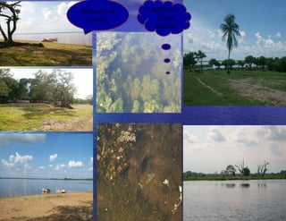 Balneario la puntica Balneario Playas Blancas 