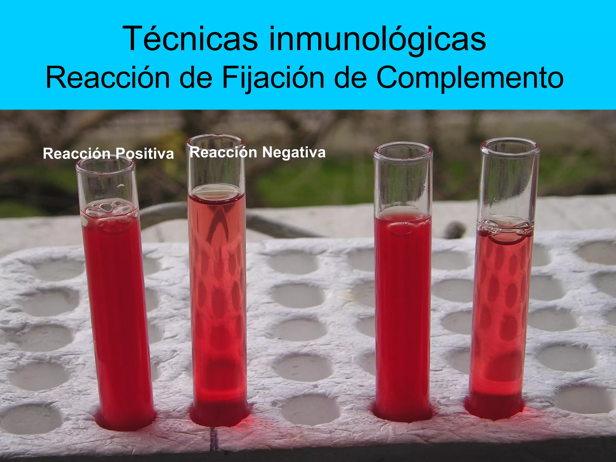 T%C3%A9cnicas Inmunol%C3%B3gicas | PPT