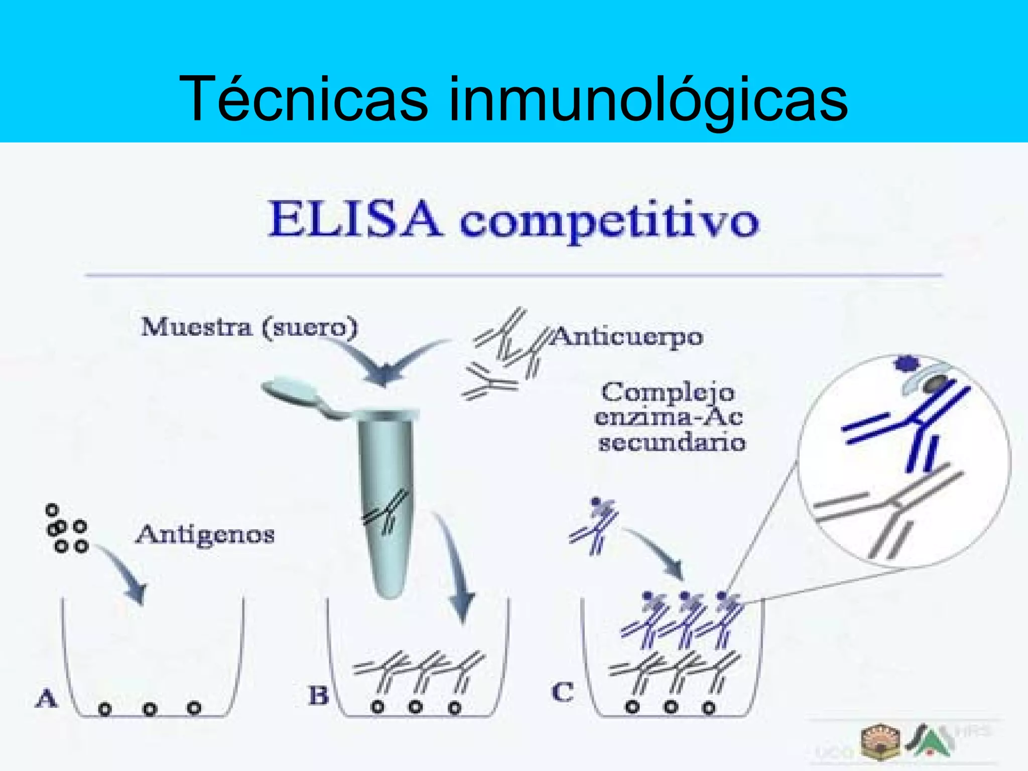 T%C3%A9cnicas Inmunol%C3%B3gicas | PPT
