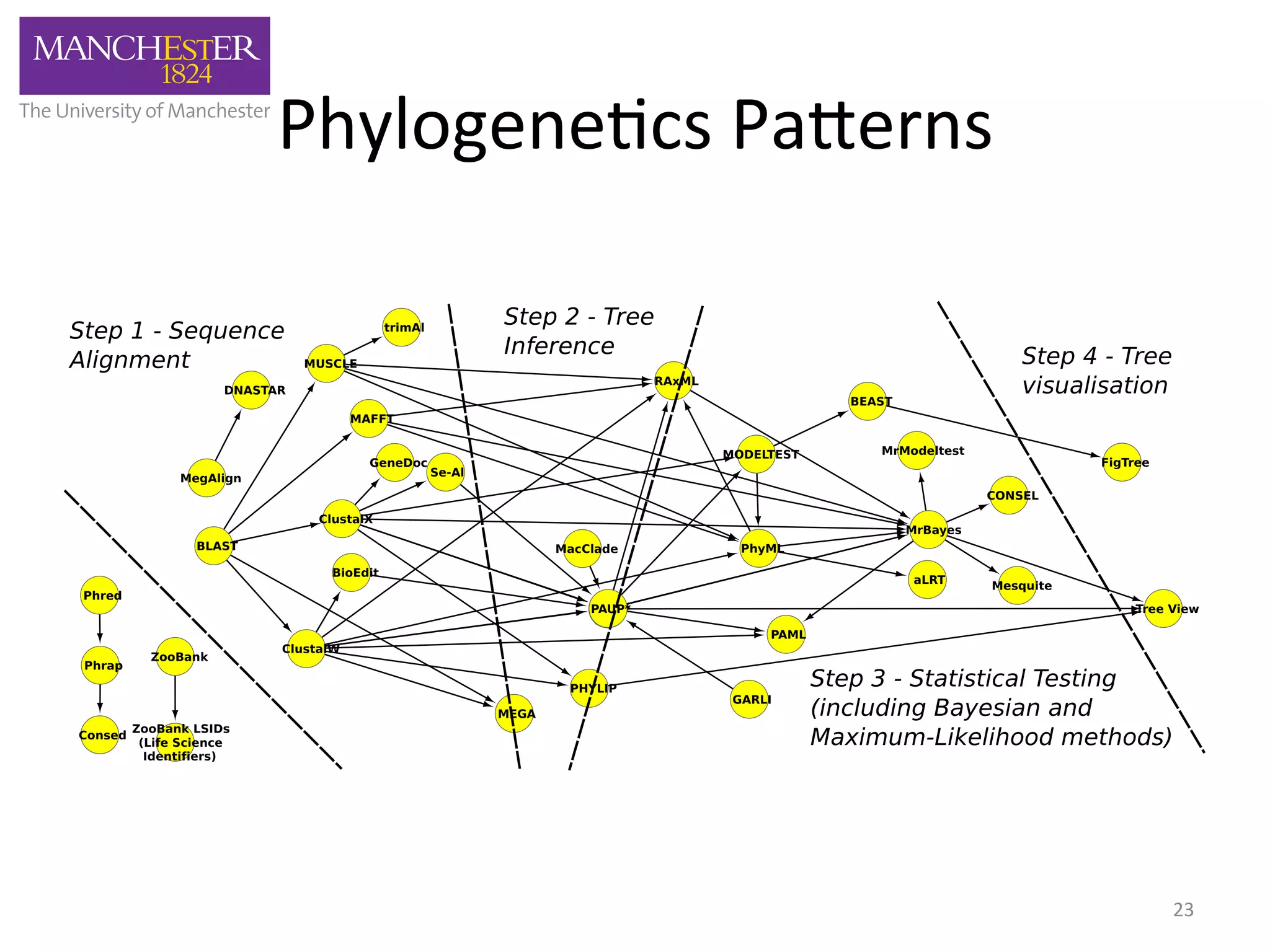Phylogene'cs 
Pa,erns 
 
 
 
 
 
 
 
 
 
 
 
 
 
 
 
 
 
 
 
 
 
 
 
 
 
 
 
 
 
  
 
 
 
 
 
 
 
 
 
 
 
 
 
23 
 