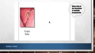 MYRISH C. TEJANO
Video clip on
the formation
of multiple
pregnancies
 