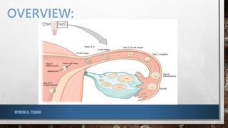 OVERVIEW:
MYRISH C. TEJANO
 