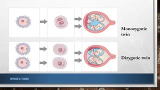 Monozygotic
twin
Dizygotic twin
MYRISH C. TEJANO
 