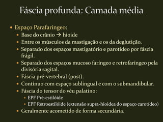  Espaço Parafaríngeo:
   Base do crânio  hioide
   Entre os músculos da mastigação e os da deglutição.
   Separado dos espaços mastigatório e parotídeo por fáscia
      frágil.
     Separado dos espaços mucoso faríngeo e retrofaríngeo pela
      divisória sagital.
     Fáscia pré-vertebral (post).
     Contínuo com espaço sublingual e com o submandibular.
     Fáscia do tensor do véu palatino:
        EPF Pré-estilóide
        EPF Retroestilóide (extensão supra-hioidea do espaço carotídeo)
   Geralmente acometido de forma secundária.
 