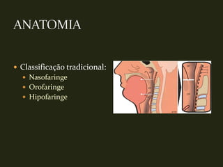  Classificação tradicional:
   Nasofaringe
   Orofaringe
   Hipofaringe
 