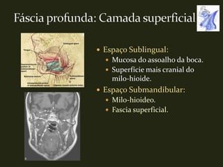  Espaço Sublingual:
   Mucosa do assoalho da boca.
   Superfície mais cranial do
    milo-hioide.
 Espaço Submandibular:
   Milo-hioideo.
   Fascia superficial.
 