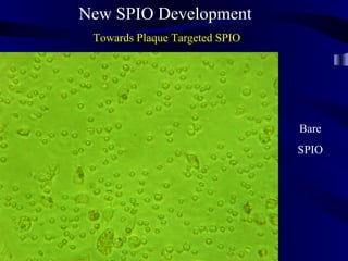 New SPIO Development
Towards Plaque Targeted SPIO
Bare
SPIO
 