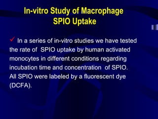 In-vitro Study of Macrophage
SPIO Uptake
 In a series of in-vitro studies we have tested
the rate of SPIO uptake by human activated
monocytes in different conditions regarding
incubation time and concentration of SPIO.
All SPIO were labeled by a fluorescent dye
(DCFA).
 