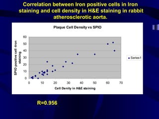 Plaque Cell Density vs SPIO
0
10
20
30
40
50
60
0 10 20 30 40 50 60 70
Cell Denity in H&E staining
SPIOpositivecell-Iron
staining
Series1
R=0.956
Correlation between Iron positive cells in Iron
staining and cell density in H&E staining in rabbit
atherosclerotic aorta.
 