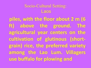 Socio-Cultural Setting:
Laos
piles, with the floor about 2 m (6
ft) above the ground. The
agricultural year centers on the
cultivation of glutinous (short-
grain) rice, the preferred variety
among the Lao Lum. Villagers
use buffalo for plowing and
 