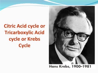 Citric Acid cycle or
Tricarboxylic Acid
  cycle or Krebs
        Cycle
 