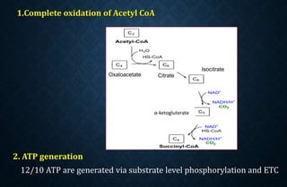 1.Complete oxidation of Acetyl CoA
2. ATP generation
12/10 ATP are generated via substrate level phosphorylation and ETC
Oxaloacetate Citrate
Isocitrate
α-ketogluterate
 