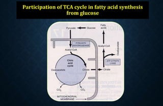 Participation of TCA cycle in fatty acid synthesis
from glucose
 