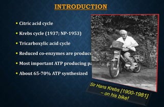 INTRODUCTION
 Citric acid cycle
 Krebs cycle (1937; NP-1953)
 Tricarboxylic acid cycle
 Reduced co-enzymes are produced – act as substrate for for ETC
 Most important ATP producing pathway
 About 65-70% ATP synthesized
 