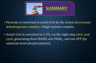 SUMMARY
• Pyruvate is converted to acetyl-CoA by the action of p yruvate
dehydrogenase complex, a huge enzyme complex.
• Acetyl-CoA is converted to 2 CO2 via the eight-step citric acid
cycle, generating three NADH, one FADH2, and one ATP (by
substrate-level phophorylation).
 