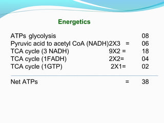 Energetics
ATPs glycolysis 08
Pyruvic acid to acetyl CoA (NADH)2X3 = 06
TCA cycle (3 NADH) 9X2 = 18
TCA cycle (1FADH) 2X2= 04
TCA cycle (1GTP) 2X1= 02
Net ATPs = 38
 