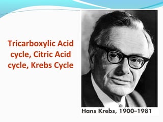 Tricarboxylic Acid
cycle, Citric Acid
cycle, Krebs Cycle
 