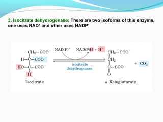 3. Isocitrate dehydrogenase: There are two isoforms of this enzyme,
one uses NAD+
and other uses NADP+
 