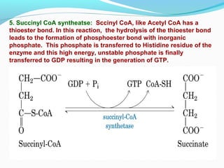 5. Succinyl CoA syntheatse: Sccinyl CoA, like Acetyl CoA has a
thioester bond. In this reaction, the hydrolysis of the thioester bond
leads to the formation of phosphoester bond with inorganic
phosphate. This phosphate is transferred to Histidine residue of the
enzyme and this high energy, unstable phosphate is finally
transferred to GDP resulting in the generation of GTP.
 