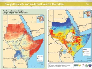  Technical consortium for building resilience in the Horn of Africa