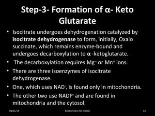 Step-3- Formation of α- Keto
Glutarate
• Isocitrate undergoes dehydrogenation catalyzed by
isocitrate dehydrogenase to form, initially, Oxalo
succinate, which remains enzyme-bound and
undergoes decarboxylation to α -ketoglutarate.
• The decarboxylation requires Mg++ or Mn++ ions.
• There are three isoenzymes of isocitrate
dehydrogenase.
• One, which uses NAD+, is found only in mitochondria.
• The other two use NADP+ and are found in
mitochondria and the cytosol.
01/21/14

Biochemistry for medics

14

 