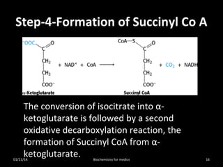 Step-4-Formation of Succinyl Co A

The conversion of isocitrate into αketoglutarate is followed by a second
oxidative decarboxylation reaction, the
formation of Succinyl CoA from αketoglutarate.

01/21/14

Biochemistry for medics

16

 