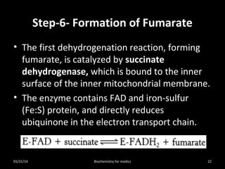 Step-6- Formation of Fumarate
• The first dehydrogenation reaction, forming
fumarate, is catalyzed by succinate
dehydrogenase, which is bound to the inner
surface of the inner mitochondrial membrane.
• The enzyme contains FAD and iron-sulfur
(Fe:S) protein, and directly reduces
ubiquinone in the electron transport chain.

01/21/14

Biochemistry for medics

22

 