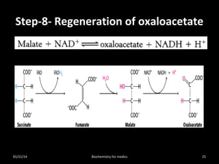 Step-8- Regeneration of oxaloacetate

01/21/14

Biochemistry for medics

25

 