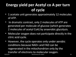 Energy yield per Acetyl co A per turn
of cycle
• 1 acetate unit generates approximately 12 molecules
of ATP.
• In dramatic contrast, only 2 molecules of ATP are
generated per molecule of glucose (which generates
2 molecules of acetyl CoA) by anaerobic glycolysis.
• Molecular oxygen does not participate directly in the
citric acid cycle.
• However, the cycle operates only under aerobic
conditions because NAD+ and FAD can be
regenerated in the mitochondrion only by the
transfer of electrons to molecular oxygen.

01/21/14

Biochemistry for medics

28

 