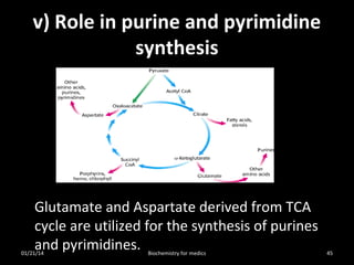 v) Role in purine and pyrimidine
synthesis

Glutamate and Aspartate derived from TCA
cycle are utilized for the synthesis of purines
and pyrimidines.

01/21/14

Biochemistry for medics

45

 