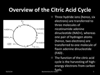 Overview of the Citric Acid Cycle

01/21/14

o Three hydride ions (hence, six
electrons) are transferred to
three molecules of
nicotinamide adenine
dinucleotide (NAD+), whereas
one pair of hydrogen atoms
(hence, two electrons) are
transferred to one molecule of
flavin adenine dinucleotide
(FAD) .
o The function of the citric acid
cycle is the harvesting of highenergy electrons from carbon
fuels.
5
Biochemistry for medics

 