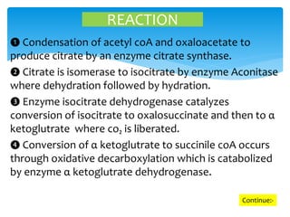 ❶ Condensation of acetyl coA and oxaloacetate to
produce citrate by an enzyme citrate synthase.
❷ Citrate is isomerase to isocitrate by enzyme Aconitase
where dehydration followed by hydration.
❸ Enzyme isocitrate dehydrogenase catalyzes
conversion of isocitrate to oxalosuccinate and then to α
ketoglutrate where co₂ is liberated.
❹ Conversion of α ketoglutrate to succinile coA occurs
through oxidative decarboxylation which is catabolized
by enzyme α ketoglutrate dehydrogenase.
REACTION
Continue:-
 