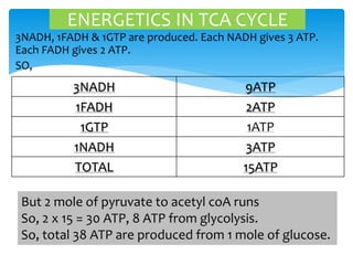 3NADH, 1FADH & 1GTP are produced. Each NADH gives 3 ATP.
Each FADH gives 2 ATP.
SO,
ENERGETICS IN TCA CYCLE
3NADH 9ATP
1FADH 2ATP
1GTP 1ATP
1NADH 3ATP
TOTAL 15ATP
But 2 mole of pyruvate to acetyl coA runs
So, 2 x 15 = 30 ATP, 8 ATP from glycolysis.
So, total 38 ATP are produced from 1 mole of glucose.
 