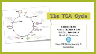 Submitted By:
Name : TRISHNA DAS
Roll No.: 160104016
B.tech 6th Semester
Dept. Of Bioengineering &
Technology
 