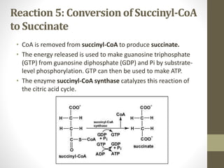 Reaction 5: Conversion of Succinyl-CoA
to Succinate
• CoA is removed from succinyl-CoA to produce succinate.
• The energy released is used to make guanosine triphosphate
(GTP) from guanosine diphosphate (GDP) and Pi by substrate-
level phosphorylation. GTP can then be used to make ATP.
• The enzyme succinyl-CoA synthase catalyzes this reaction of
the citric acid cycle.
 