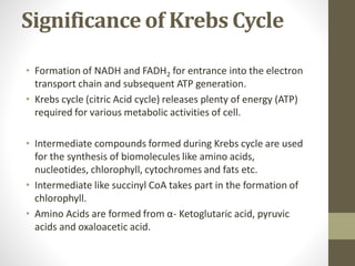 Significance of Krebs Cycle
• Formation of NADH and FADH2 for entrance into the electron
transport chain and subsequent ATP generation.
• Krebs cycle (citric Acid cycle) releases plenty of energy (ATP)
required for various metabolic activities of cell.
• Intermediate compounds formed during Krebs cycle are used
for the synthesis of biomolecules like amino acids,
nucleotides, chlorophyll, cytochromes and fats etc.
• Intermediate like succinyl CoA takes part in the formation of
chlorophyll.
• Amino Acids are formed from α- Ketoglutaric acid, pyruvic
acids and oxaloacetic acid.
 