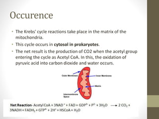Occurence
• The Krebs' cycle reactions take place in the matrix of the
mitochondria.
• This cycle occurs in cytosol in prokaryotes.
• The net result is the production of CO2 when the acetyl group
entering the cycle as Acetyl CoA. In this, the oxidation of
pyruvic acid into carbon dioxide and water occurs.
 