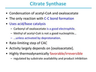 Citrate Synthase
• Condensation of acetyl-CoA and oxaloacetate
• The only reaction with C-C bond formation
• Uses acid/base catalysis
– Carbonyl of oxaloacetate is a good electrophile.
– Methyl of acetyl-CoA is not a good nucleophile…
– …unless activated by deprotonation.
• Rate-limiting step of CAC
• Activity largely depends on [oxaloacetate].
• Highly thermodynamically favorable/irreversible
– regulated by substrate availability and product inhibition
 