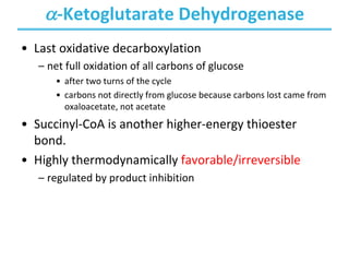 a-Ketoglutarate Dehydrogenase
• Last oxidative decarboxylation
– net full oxidation of all carbons of glucose
• after two turns of the cycle
• carbons not directly from glucose because carbons lost came from
oxaloacetate, not acetate
• Succinyl-CoA is another higher-energy thioester
bond.
• Highly thermodynamically favorable/irreversible
– regulated by product inhibition
 