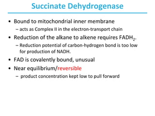Succinate Dehydrogenase
• Bound to mitochondrial inner membrane
– acts as Complex II in the electron-transport chain
• Reduction of the alkane to alkene requires FADH2.
– Reduction potential of carbon-hydrogen bond is too low
for production of NADH.
• FAD is covalently bound, unusual
• Near equilibrium/reversible
– product concentration kept low to pull forward
 