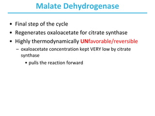 Malate Dehydrogenase
• Final step of the cycle
• Regenerates oxaloacetate for citrate synthase
• Highly thermodynamically UNfavorable/reversible
– oxaloacetate concentration kept VERY low by citrate
synthase
• pulls the reaction forward
 