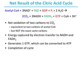 Net Result of the Citric Acid Cycle
• Net oxidation of two carbons to CO2
– equivalent to two carbons of acetyl-CoA
– but NOT the exact same carbons
• Energy captured by electron transfer to NADH and
FADH2
• Generates 1 GTP, which can be converted to ATP
• Completion of cycle
Acetyl-CoA + 3NAD+ + FAD + GDP + Pi + 2 H2O à
2CO2 + 3NADH + FADH2 + GTP + CoA + 3H+
 