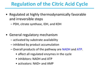 Regulation of the Citric Acid Cycle
• Regulated at highly thermodynamically favorable
and irreversible steps
– PDH, citrate synthase, IDH, and KDH
• General regulatory mechanism
– activated by substrate availability
– inhibited by product accumulation
– Overall products of the pathway are NADH and ATP.
• affect all regulated enzymes in the cycle
• inhibitors: NADH and ATP
• activators: NAD+ and AMP
 